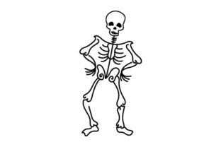 Skeleton Line Art Style: A Designer's Review